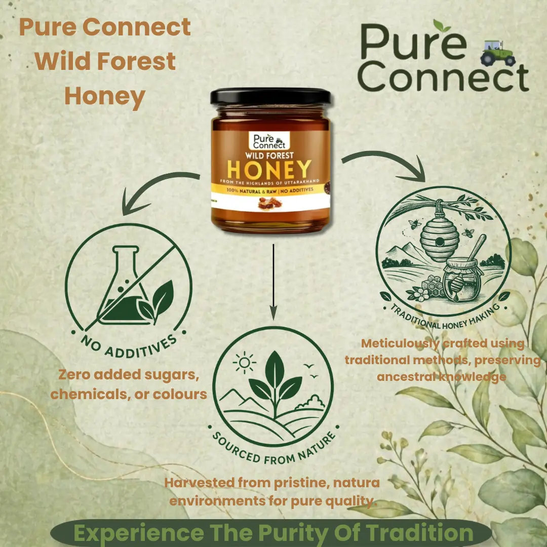 Raw Wild Forest Honey – Natural & Rich - Image 4