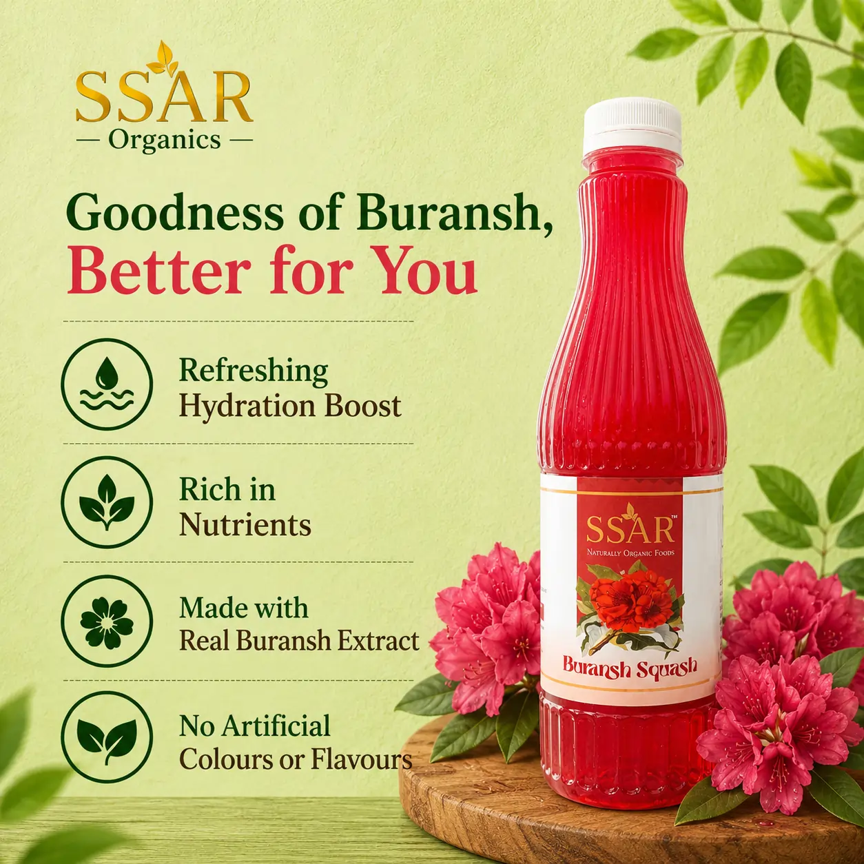 Buransh Squash - Image 2